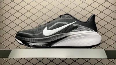 ＃NK Zoom Pegasus 42 飛馬42代 網面跑步鞋 IB1873-001 高畫質實拍影片‼️