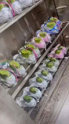 高版本顏色尺碼齊全，出貨快