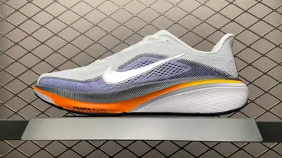 ＃NK Zoom Pegasus 42 飛馬42代 網面跑步鞋 IB1873-102 高畫質實拍影片‼️