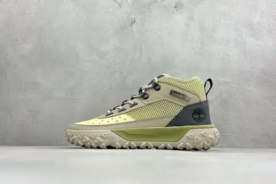 519💰