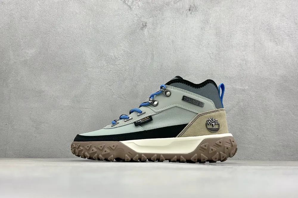 519💰