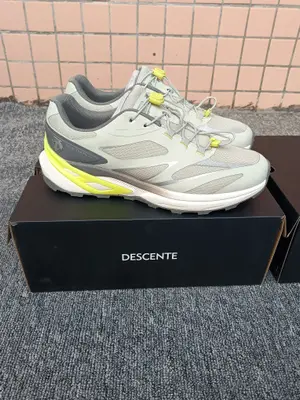 💰690🉐 莞產純原 迪桑特DESCENTE Enerzite 時尚百搭 Mtn Ridge 生活休閒鞋 男款