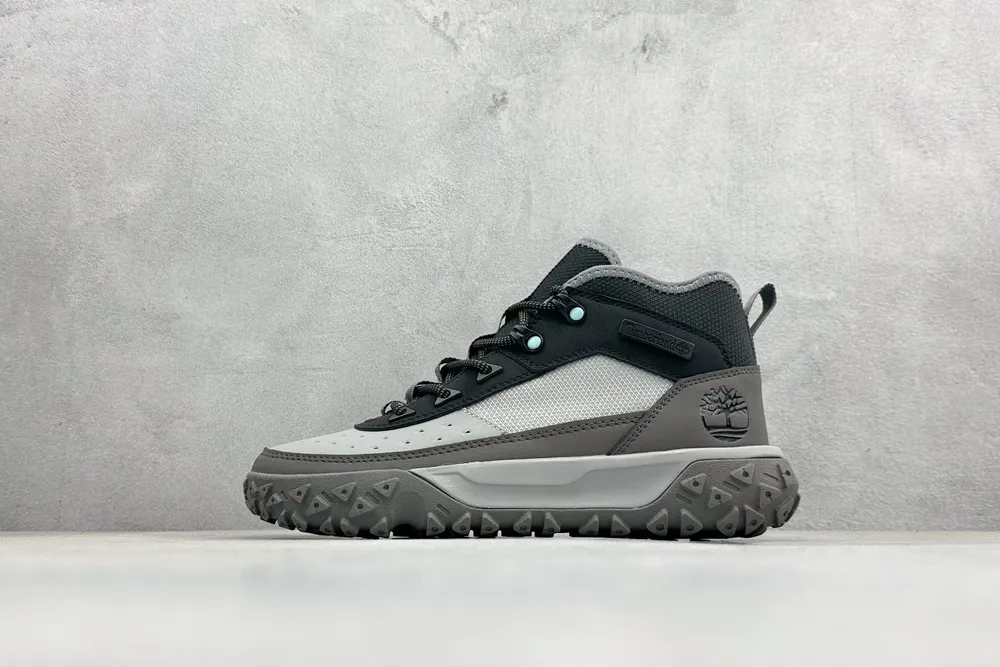 519💰