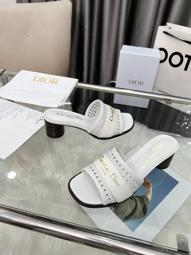春夏新款Dior D-Lane 迪奧涼拖圓跟一字鏤空拖鞋