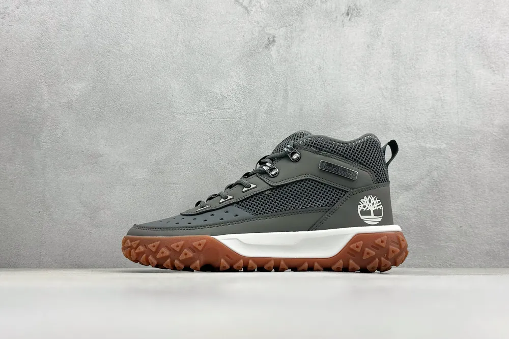 519💰
